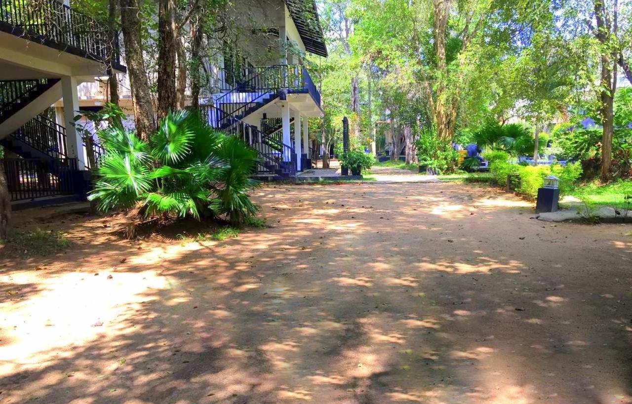 Flower Garden Eco Village Сігірія Екстер'єр фото